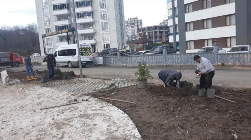 Fatsa Belediyesinin park &ccedil;alışmaları