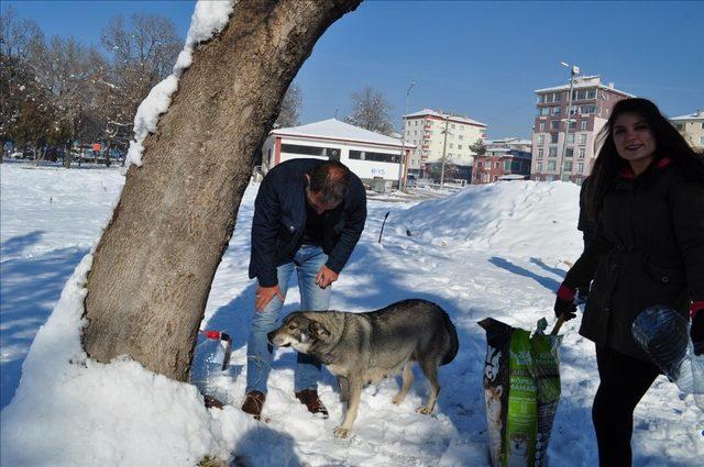 Öğrenciler sokak hayvanlarını unutmadı