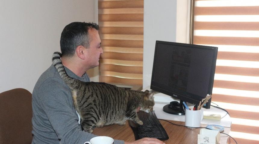 Gazetenin ofisini sokak kedilerine a&ccedil;tılar