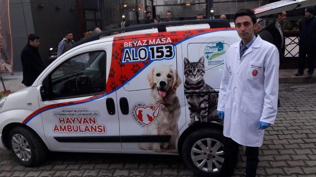 Sinop’ta hayvan ambulansı hizmete girdi