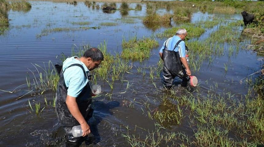 Hayvansal &uuml;r&uuml;n ihracatı y&uuml;zde 30 arttı