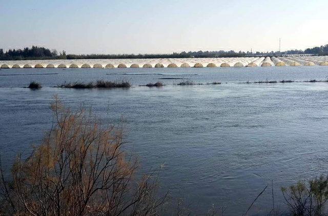 Adana'da tarım arazileri baraj suyu altında