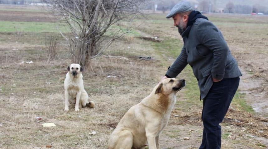 Baro&rsquo;dan sokak hayvanlarına yiyecek