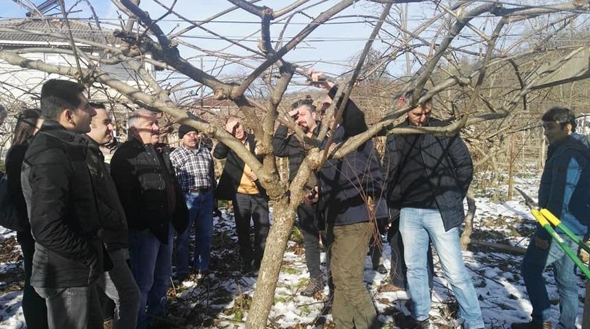 Kivi &uuml;reticilerine budama eğitimi
