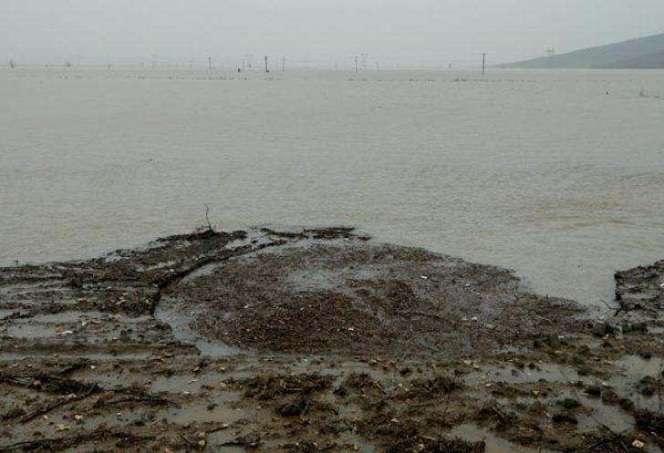 Yaklaşmayın uyarısına rağmen geldiler! Köylüler şaşkın G5