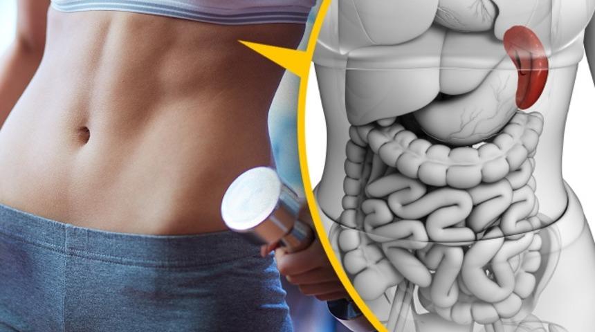 Ne İşe Yaradığını Bilmediğimiz 6 Organımız