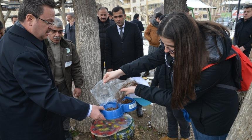 Otomobil lastikleri kedi yuvasına d&ouml;n&uuml;şt&uuml;