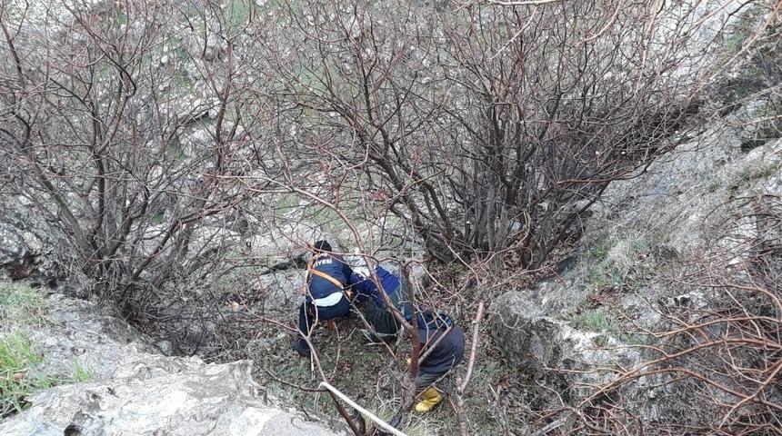 Kayalıklarda mahsur kalan 4 küçükbaş hayvan kurtarıldı