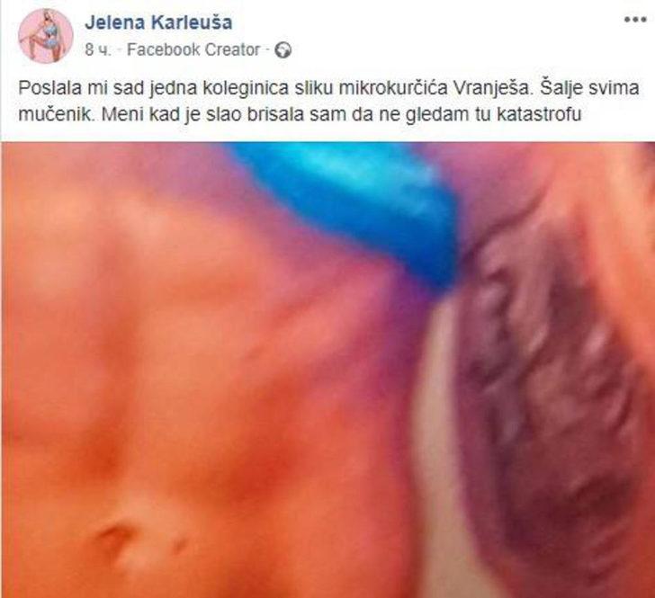 Seksi şarkıcı, Bosnalı futbolcunun kendisine cinsel organının fotoğrafını gönderdiğini de kişisel hesabından paylaştı. 