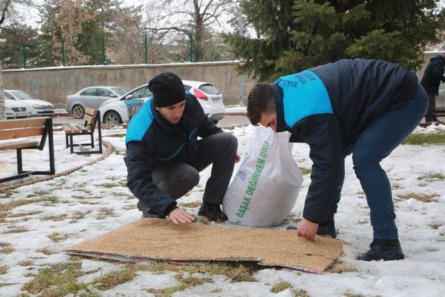 Elazığ’da sokak hayvanları için yem bırakıldı