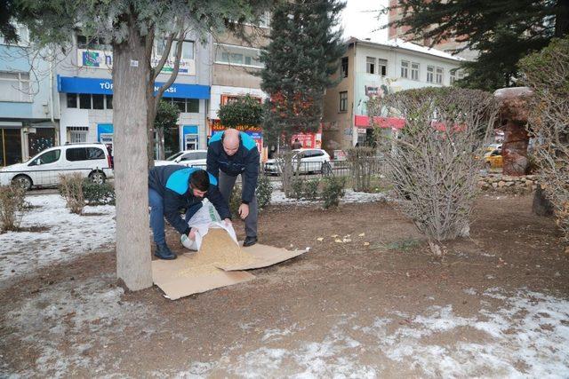 Elazığ’da sokak hayvanları için yem bırakıldı