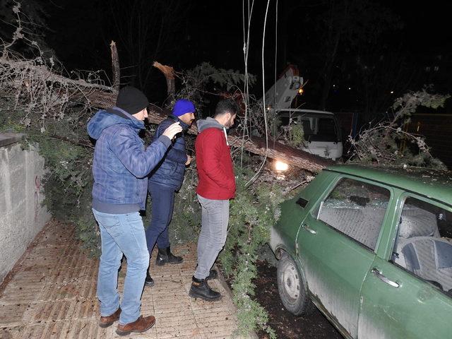 Çorum'da fırtına ağaçları devirdi, elektrik tellerini kopardı