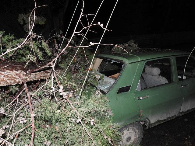 Çorum'da fırtına ağaçları devirdi, elektrik tellerini kopardı