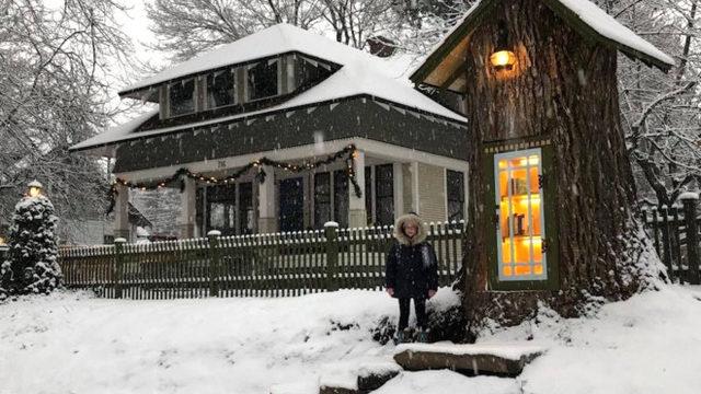 110 yılık ağaç bakın şimdi nasıl kullanılıyor?