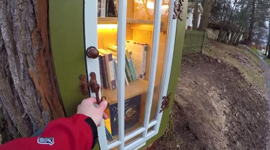 Y&uuml;zyıllık ağacın i&ccedil;ine yaptığı şeye inanamayacaksınız!