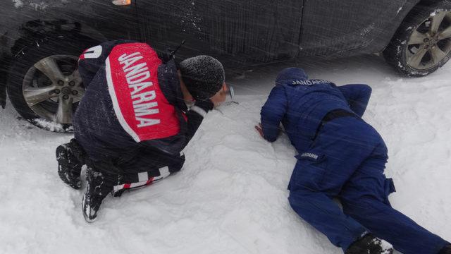 Otomobilin altında kalan sokak k&ouml;peğini, jandarma kurtardı 2