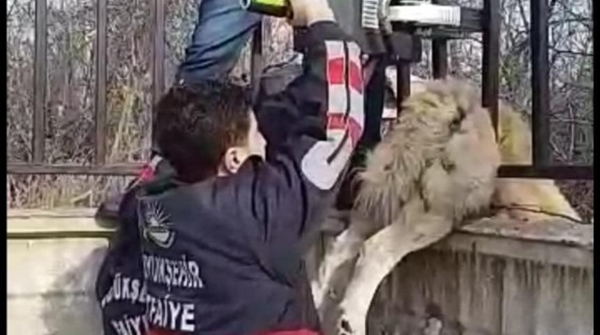 Demir parmaklıklarla sıkışan k&ouml;pek, itfaiye tarafından kurtarıldı