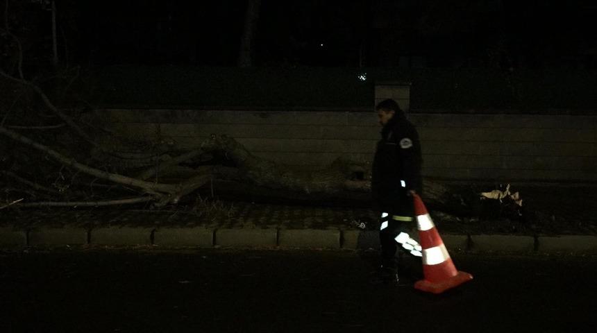 Kayseri’de minare yıkan rüzgarın saatteki hızı 119 kilometre olarak ölçüldü