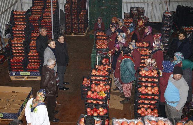 Başkan Genç, Nar işçileriyle buluştu