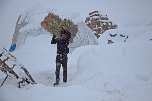 Karlıova'da 2 metreyi bulan kar, hayvancılığı zorlaştırıyor
