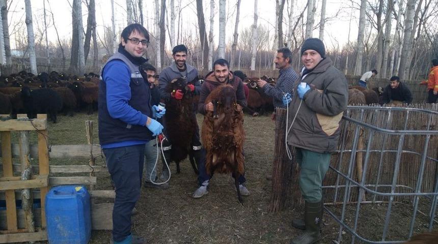 Sağlıklı insan için sağlıklı hayvan projesi