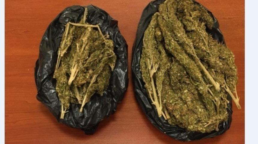 Uyuşturucu tacirlerine operasyon: 7 g&ouml;zaltı