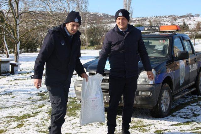 Kepsut Belediyesi sokak hayvanlarına mama dağıttı