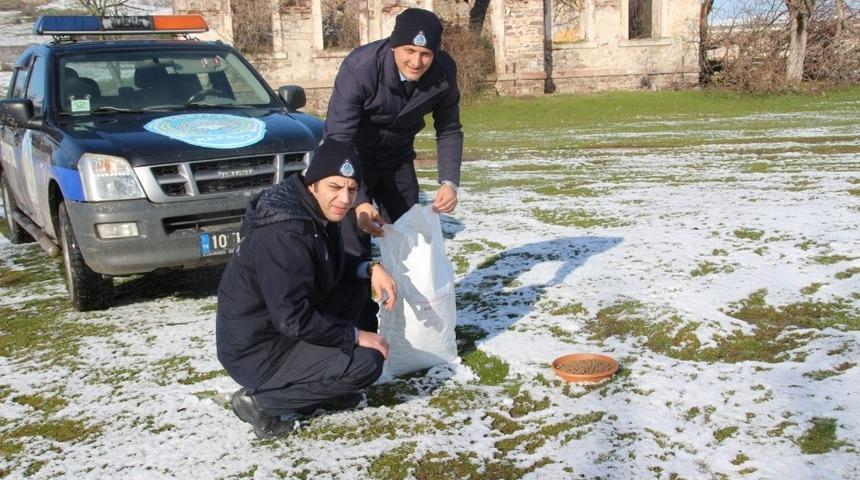 Kepsut Belediyesi sokak hayvanlarına mama dağıttı