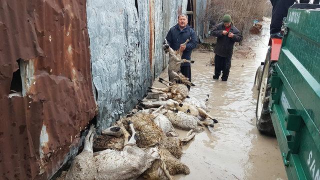 Osmaniye'de köyleri su bastı (2)