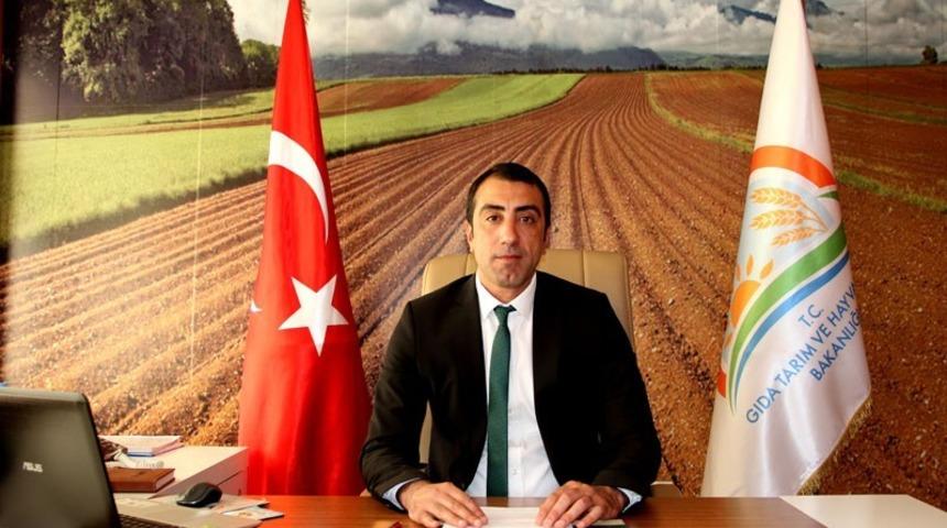 &Ouml;zl&uuml;ce barajı su &uuml;r&uuml;nleri yetiştiriciliğine a&ccedil;ıldı