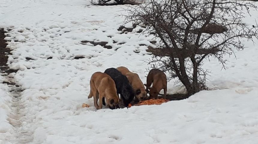 Hastane y&ouml;netiminden &ouml;rnek davranış