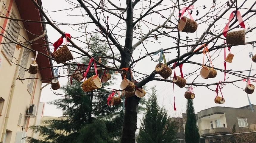 Kahtalı &ouml;ğrenciler kuşlar i&ccedil;in ağa&ccedil;lara yem astı