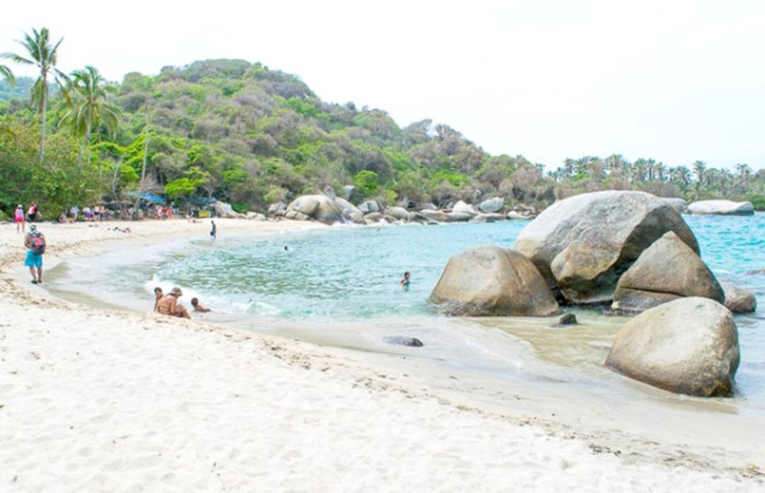 Timsah bir anda ortaya &ccedil;ıktı! Plajdakilere saldırdı