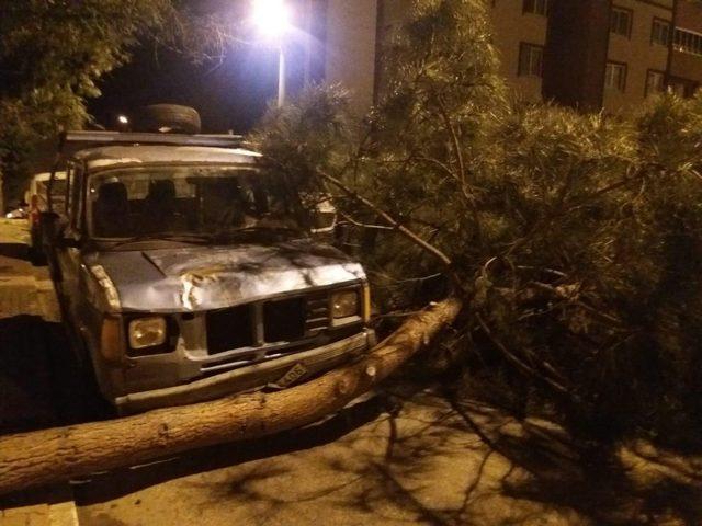 Fırtına ağaçları devirdi, araçlara zarar verdi