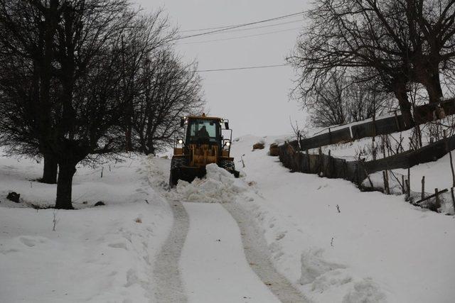 Tunceli’de karla mücadele