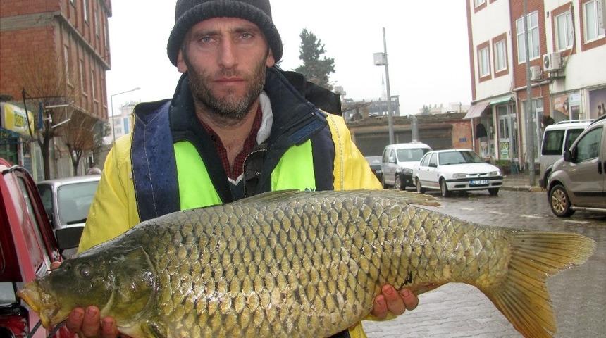 Fırat&rsquo;ta yakalanan balıklar Arabanlıların y&uuml;z&uuml;n&uuml; g&uuml;ld&uuml;rd&uuml;