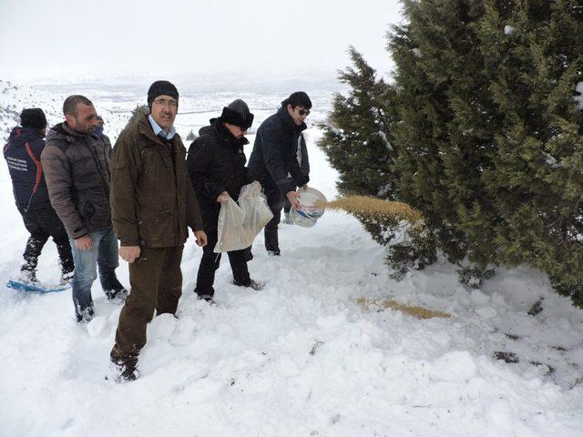 Erzincan’da yaban hayvanları için doğaya yem bırakıldı