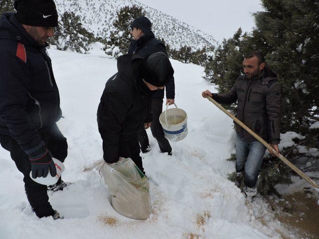 Erzincan’da yaban hayvanları için doğaya yem bırakıldı