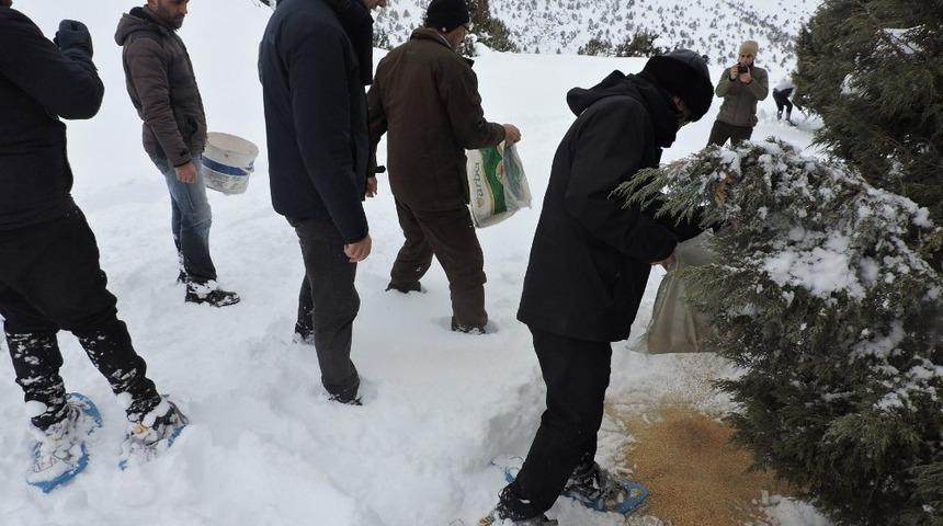 Erzincan&rsquo;da yaban hayvanları i&ccedil;in doğaya yem bırakıldı
