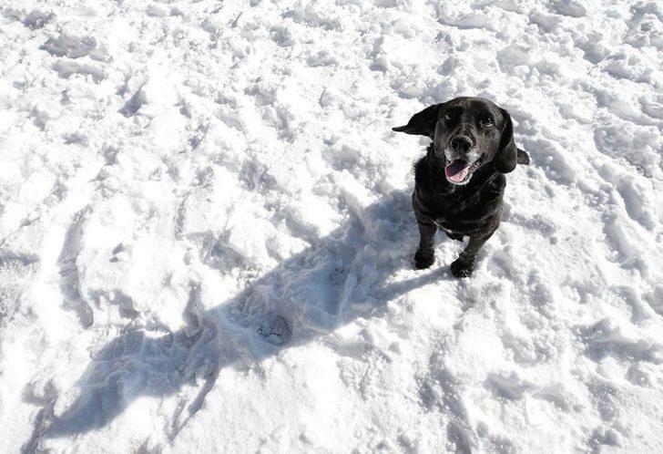 İzmir'den kar manzaraları  G5