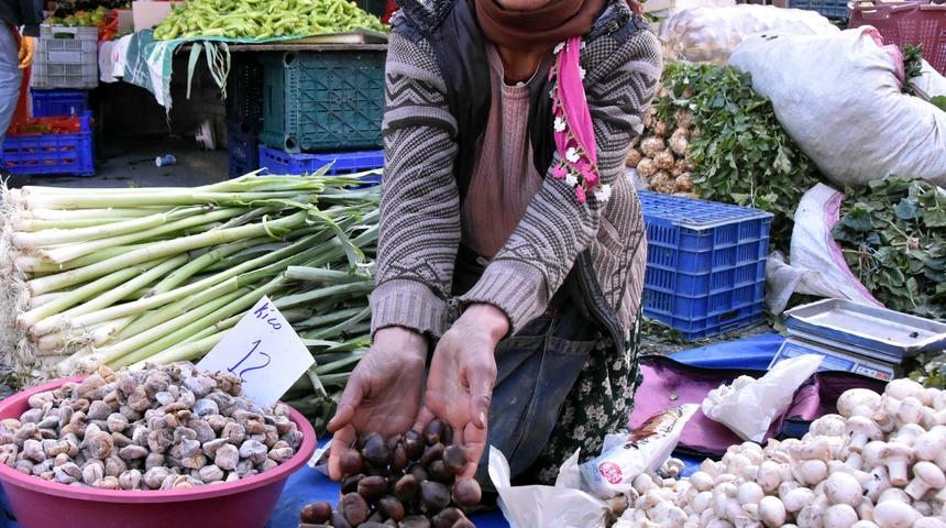 Türk kestanesine en fazla talep İtalya'dan