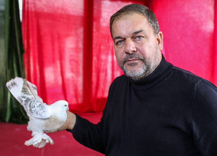 Şebap güvercini otomobil fiyatına satılıyor G5