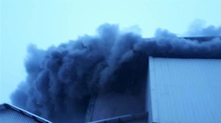 Rize'de çay fabrikasında yangın!