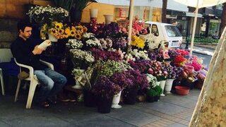 Çiçekçiyi öldürmekten yargılanan sanığın sahte alkol raporu davasında karar
