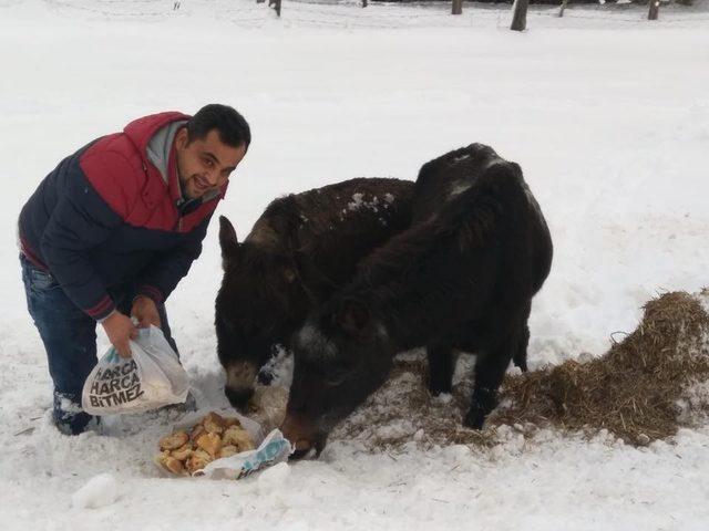 Demirci’de kar kalınlığı bir metreye ulaştı