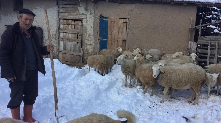 Kar yağışı k&uuml;&ccedil;&uuml;kbaş hayvancılığı olumsuz etkiledi