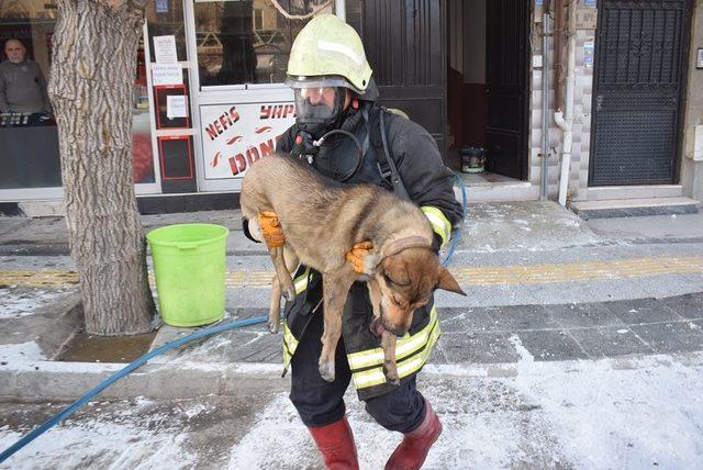 Yangında mahsur kalan 2 kişi ve köpek kurtarıldı (2)