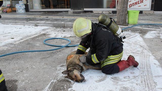 Yangında mahsur kalan 2 kişi ve köpek kurtarıldı (2)