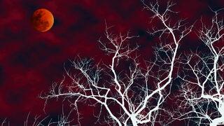 21 Ocak 2019 Kanlı Ay Tutulmasının burçlara etkisi!
