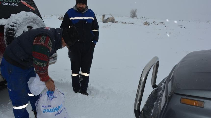 Gen&ccedil;lik merkezleri sokak hayvanlarını unutmadı